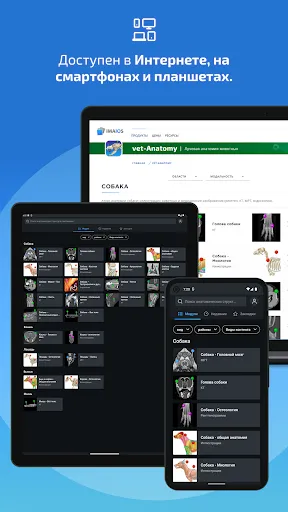 Скриншот 8 — IMAIOS vet-Anatomy
