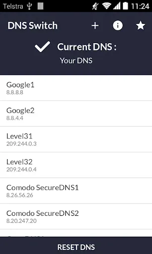 Скриншот 1 — DNS-коммутатор - плавно подклю