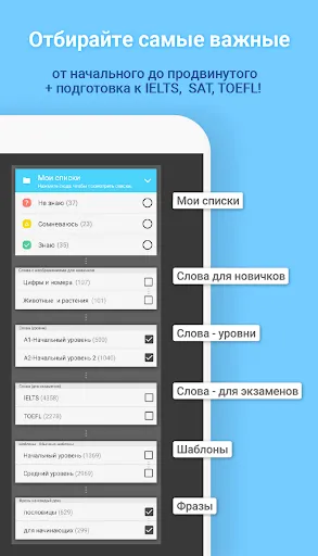 Скриншот 8 — WordBit Английский язык