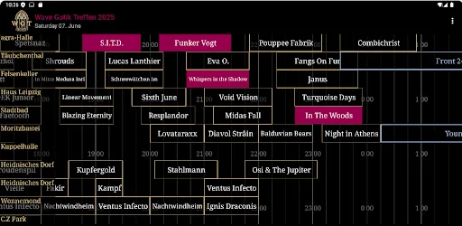 Скриншот 6 — Wave Gotik Treffen 2026