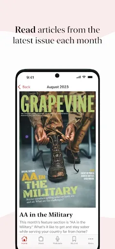 Скриншот 3 — AA Grapevine