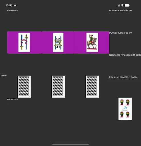 Скриншот 4 — CBriscola Material