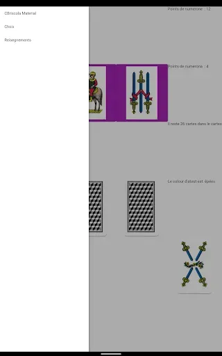 Скриншот 8 — CBriscola Material