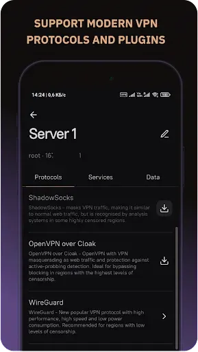 Скриншот 3 — Amnezia VPN
