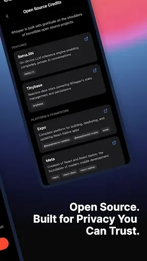 Скриншот 8 — Whisper: Private Offline AI