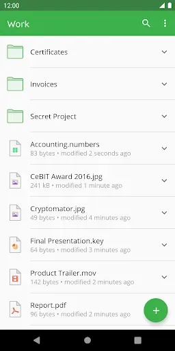Скриншот 5 — Cryptomator