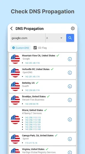 Скриншот 3 — DNS Checker - Сетевой сканер