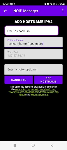 Скриншот 2 — Dynamic DNS: Updater Noip