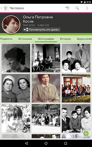 Скриншот 2 — Древо FamilySearch