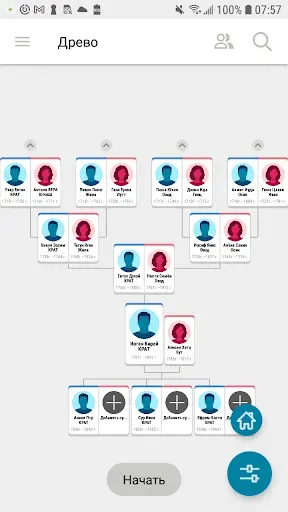 Скриншот 7 — Древо FamilySearch
