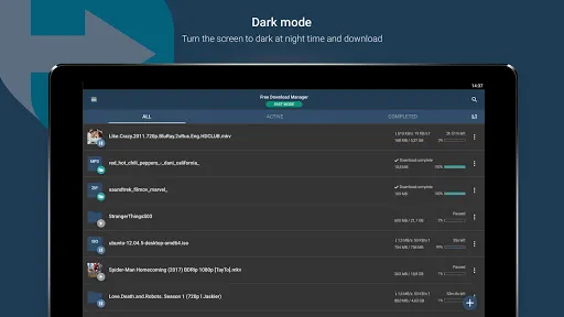 Скриншот 7 — Free Download Manager - FDM