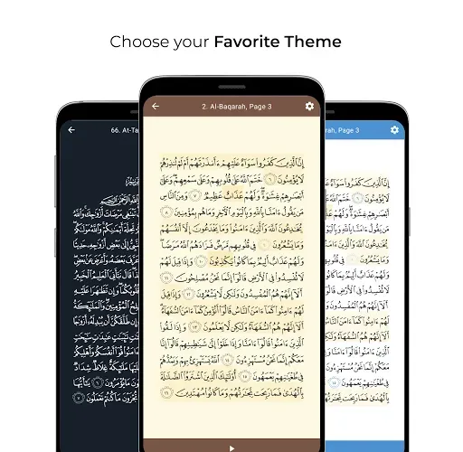 Скриншот 7 — Al Quran Memoriser