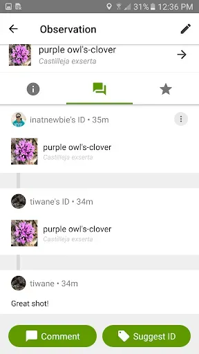 Скриншот 4 — iNaturalist