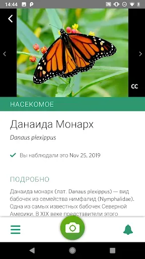 Скриншот 1 — Seek фирмы iNaturalist
