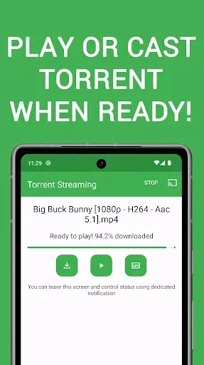Скриншот 4 — TVS - Torrent Video Streaming