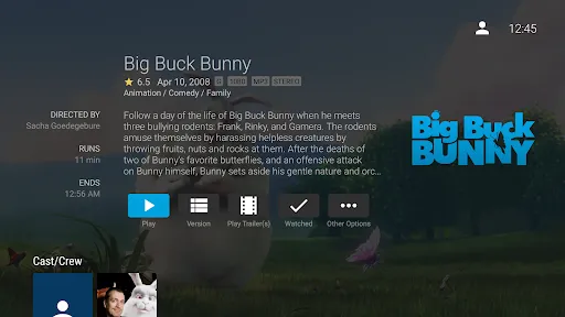Скриншот 4 — Jellyfin for Android TV
