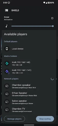 Скриншот 2 — Yatse: Kodi remote and cast