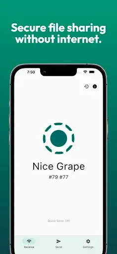 Скриншот 1 — LocalSend: Transfer Files