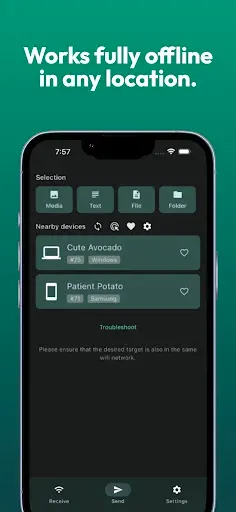 Скриншот 3 — LocalSend: Transfer Files