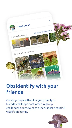 Скриншот 4 — ObsIdentify