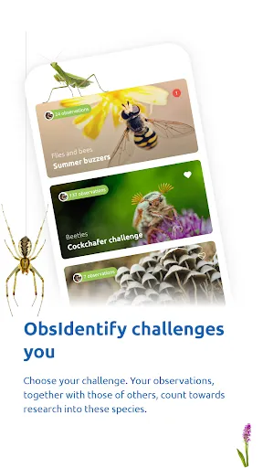 Скриншот 5 — ObsIdentify