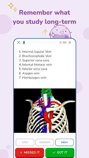 Скриншот 4 — Osmosis - Medical School Study