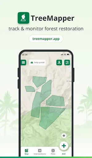 Скриншот 1 — TreeMapper