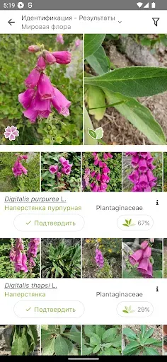 Скриншот 2 — PlantNet Plant Identification