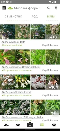 Скриншот 3 — PlantNet Plant Identification