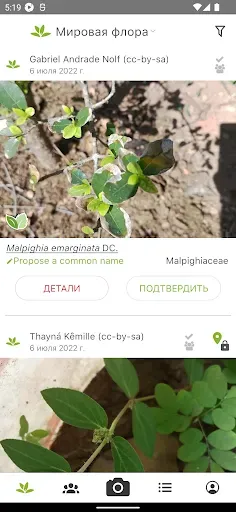 Скриншот 4 — PlantNet Plant Identification