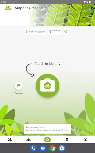 Скриншот 5 — PlantNet Plant Identification