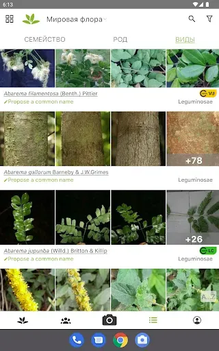 Скриншот 7 — PlantNet Plant Identification