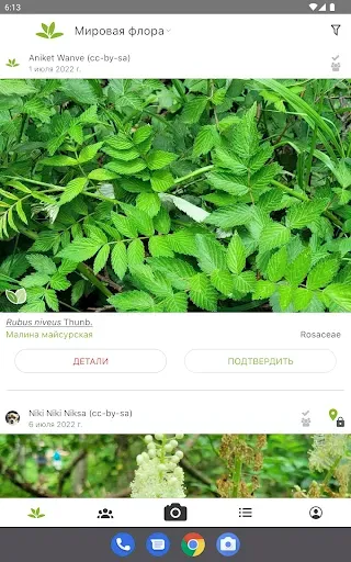 Скриншот 8 — PlantNet Plant Identification