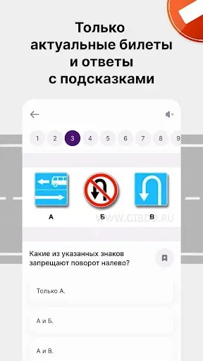 Скриншот 2 — Экзамен ПДД 2026: билеты