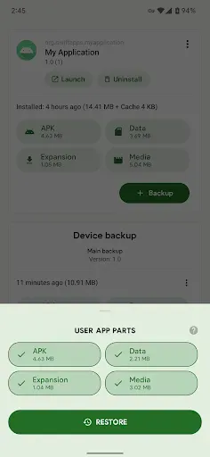 Скриншот 4 — Swift Backup