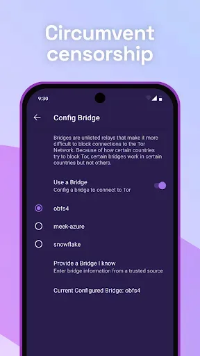 Скриншот 2 — Tor Browser (Alpha)