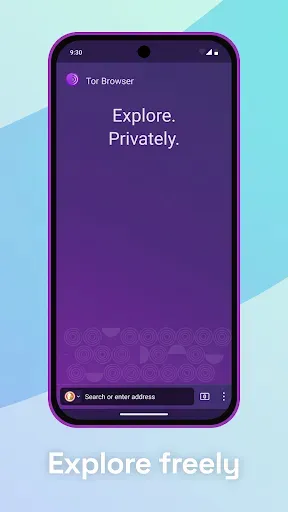Скриншот 5 — Tor Browser (Alpha)
