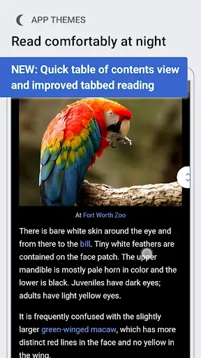Скриншот 1 — Wikipedia Beta