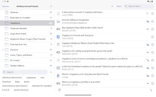 Скриншот 3 — Zotero