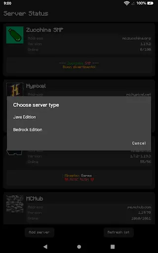 Скриншот 7 — Server Status for MC