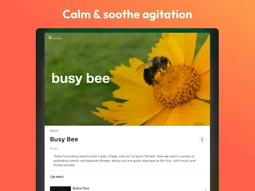 Скриншот 6 — Zinnia TV