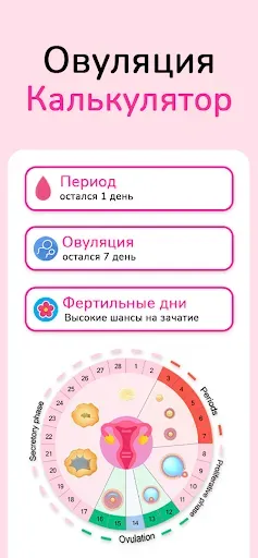 Скриншот 3 — калькулятор овуляции и зачатия
