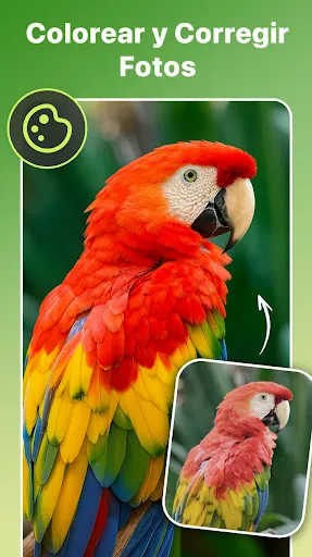 Скриншот 2 — Mejorador de Fotos IA -PixLift