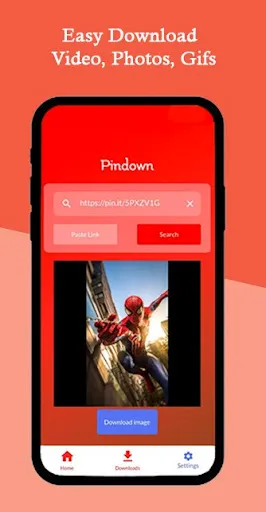Скриншот 2 — Pinterest Video Downloader