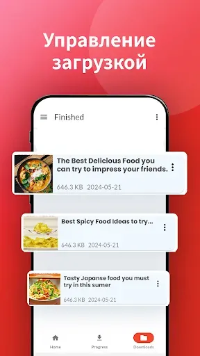 Скриншот 5 — Pinterest Видео загрузчик