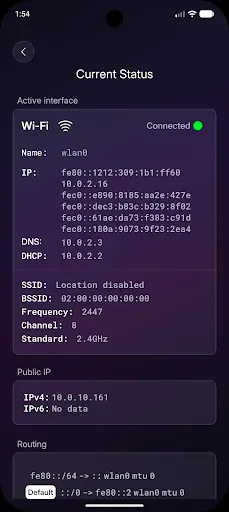 Скриншот 2 — DR-NetTools