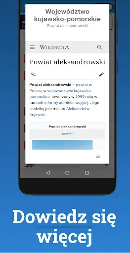 Скриншот 2 — Tablice rejestracyjne BlachyPL