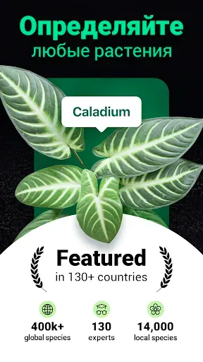 Скриншот 1 — Plantum・Распознавание растений