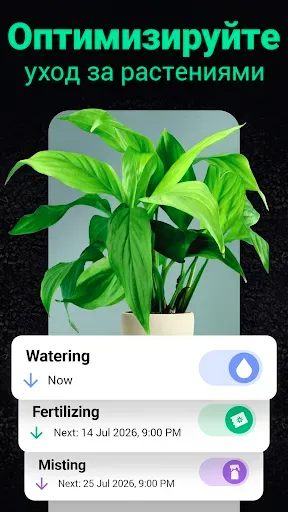 Скриншот 3 — Plantum・Распознавание растений