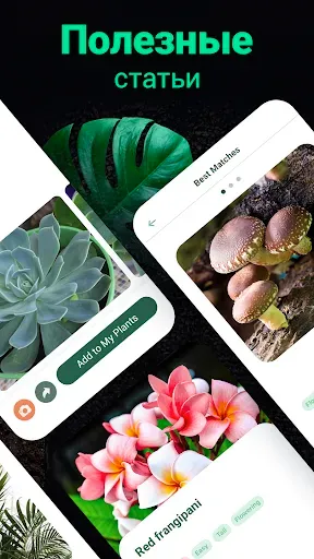 Скриншот 4 — Plantum・Распознавание растений